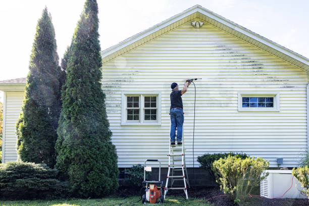 Best Driveway Pressure Washing  in Toona, AL